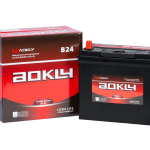 AOKLY Maintenance-Free Car Battery - NS60L Size